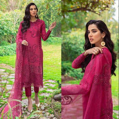 Dhanak 3PC Chekankari Embroidered With Organza Embroidered Dupatta-110