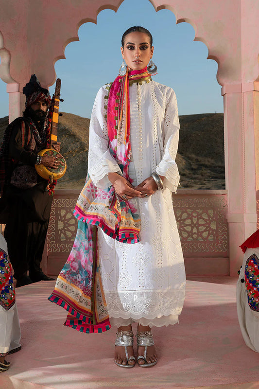 Dhanak 3PC Chikankari Embroidered With Digital Printed Wool Shawl-104